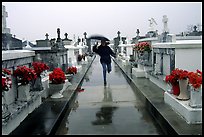 Rain in Saint Louis cemetery, New Orleans. Louisiana, USA